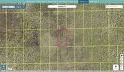 volusia 612001140250 regrid.jpg