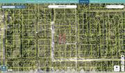 volusia 700114002120 regrid.jpg