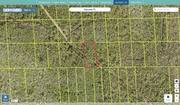volusia 710501160090 regrid.jpg