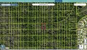 pasco 10 26 19 0010 0160s 0140 regrid.jpg