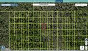 pasco 10 26 19 0010 0260s 0120 regrid.jpg
