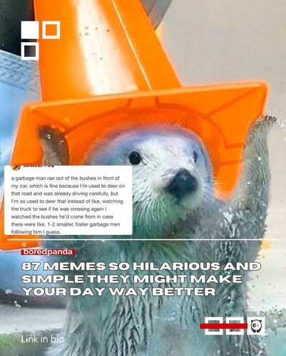 2 images (7).png