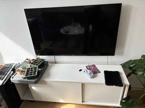 IMG 0360.jpg