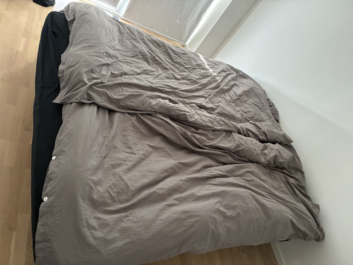 IMG 0369.jpg