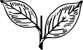 Two Leaves.png
