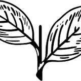 Two Leaves