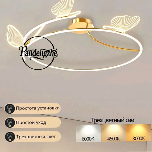 1776078464161.jpg