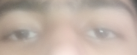temp.png