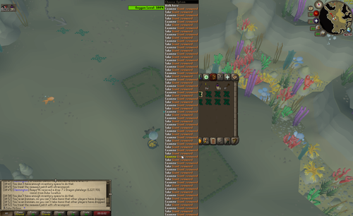 RuneLite JY0ILSUphy.png
