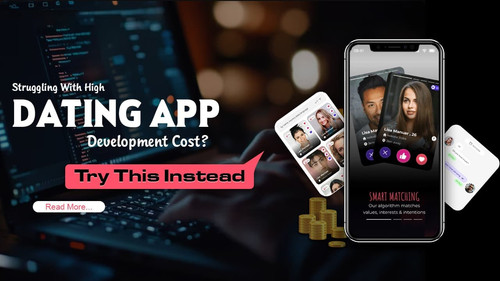 Struggling With High Dating App Development Cost Try This Instead.jpg