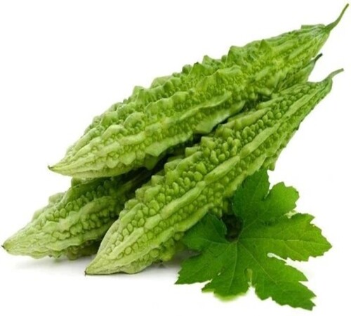Green Bitter Gourd 1.jpg