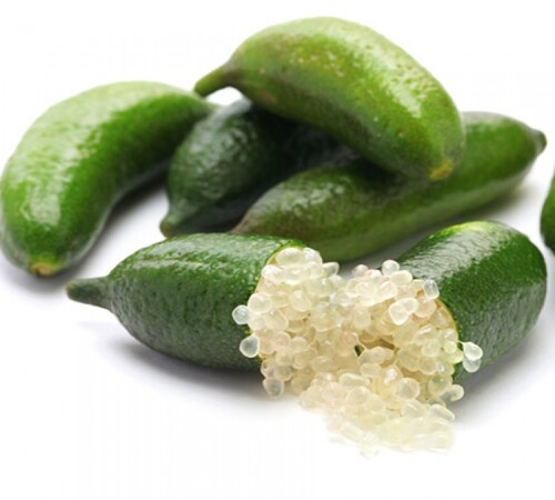 Green Finger Lime1.jpg