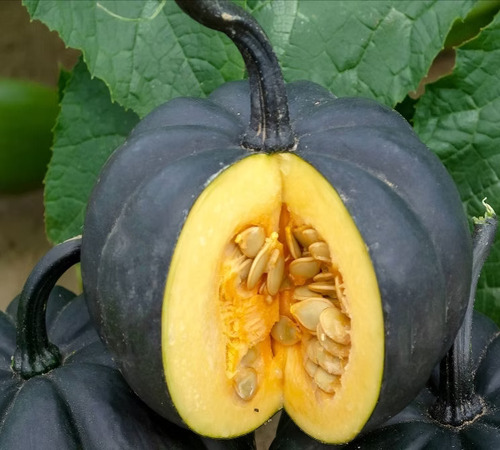 Black Pumpkin13.jpg