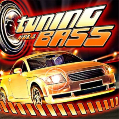 00 va tuning bass vol. 1 cover 2005 int.jpg