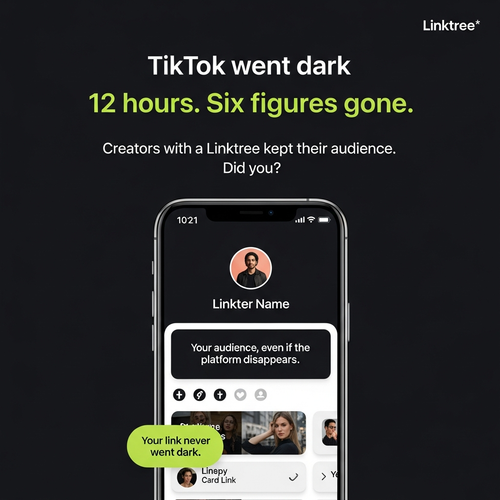B02 tiktok shutdown income.png