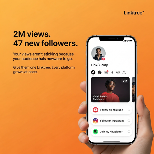 B04 viral views no followers.png