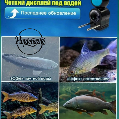 1776078845155.jpg