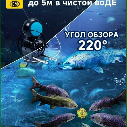 1776078845158.jpg