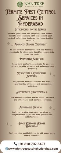 termite pest control services (2).jpg