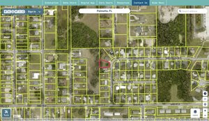manatee 2465400006 regrid.jpg