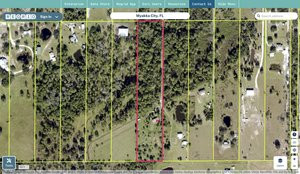 manatee 58405359 regrid.jpg