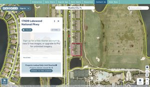 manatee 581535409 regrid.jpg