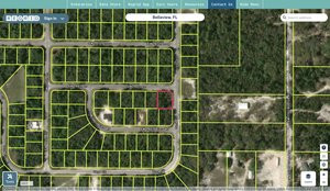 marion 8011 1365 06 regrid.jpg