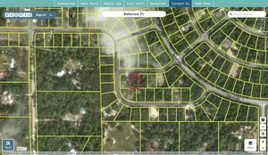 marion 9037 1204 10 regrid.jpg