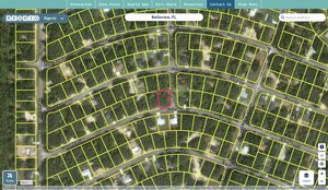 marion 2487682 regrid.jpg