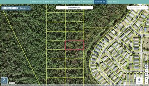 osceola 092527000000700000 regrid.jpg