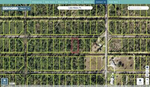 polk 303118994140039720 regrid.jpg