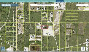 osceola 31273260003242001m regrid.jpg