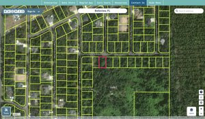 marion 9038 1282 10 regrid.jpg