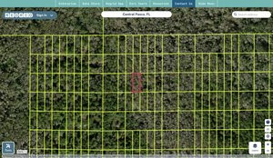 pasco 10 26 19 0010 0260s 0120 regrid.jpg