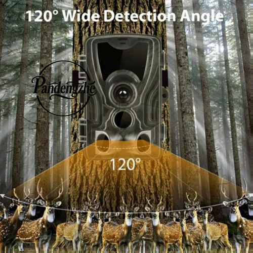1776079103089.jpg