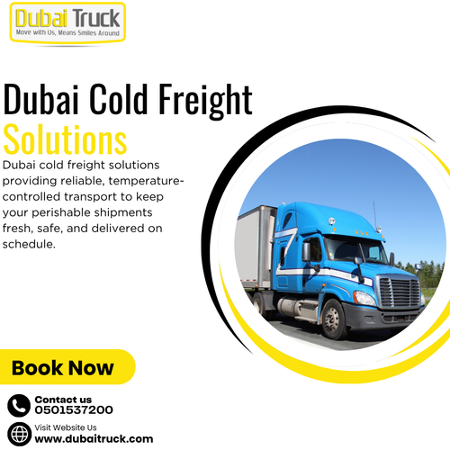 Dubai Cold Freight Solutions.png