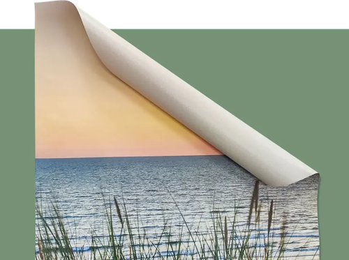 63173827dc86.png