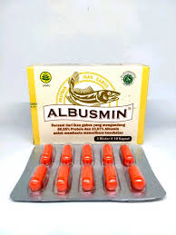 albusmin2.jpg