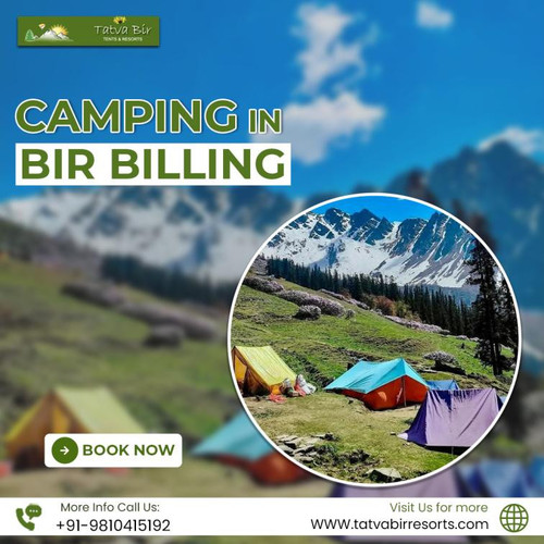 Camping In Bir Billing.jpg