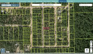 putnam 08 10 24 6760 0030 0360 regrid.jpg