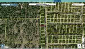 putnam 11 10 23 9306 0160 0090 regrid.jpg