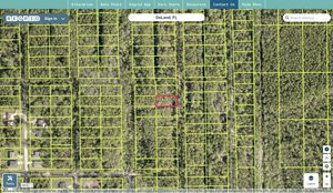 volusia 603601030430 regrid.jpg