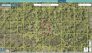 volusia 612801050220 regrid.jpg