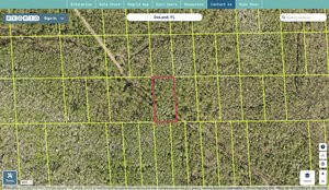 volusia 710501160090 regrid.jpg
