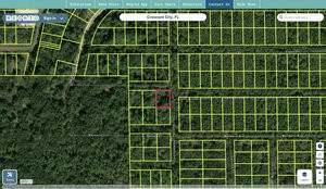 putnam 37 13 27 7063 1110 0030 regrid.jpg