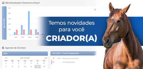 banner whatsapp novidades.png