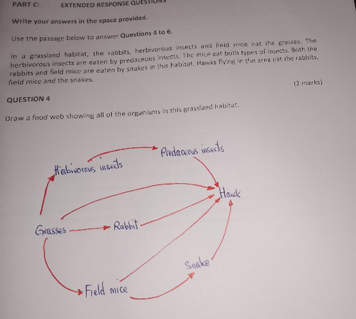 temp.png