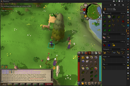 RuneLite 7ZjElMHhsG.png