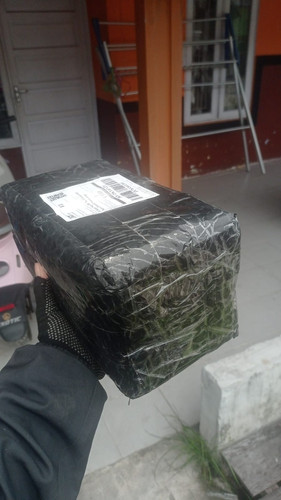 JX7832602285.jpg