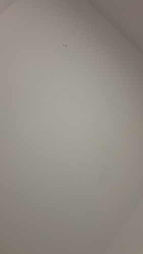 20260402 110359.jpg